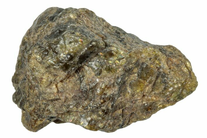 Diogenite Meteorite ( g) - From Vesta Micro-Planet #281039